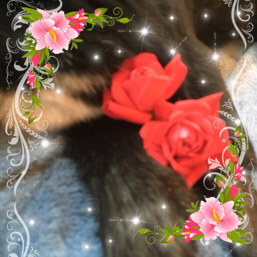 Meet your Posher, Maritza